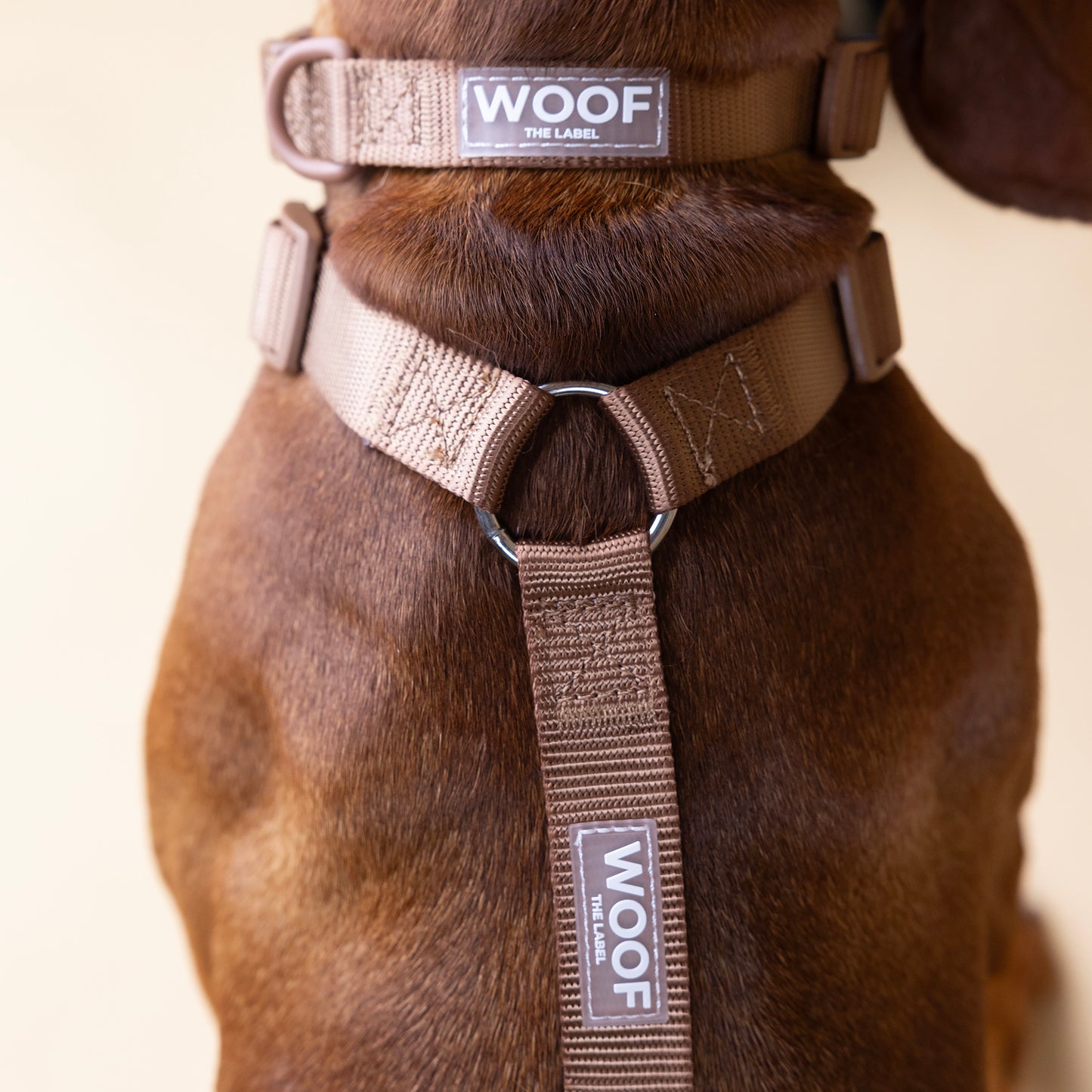 The Woof Kit BROWN