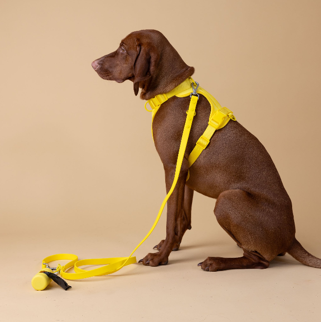 The Original Walk-Kit