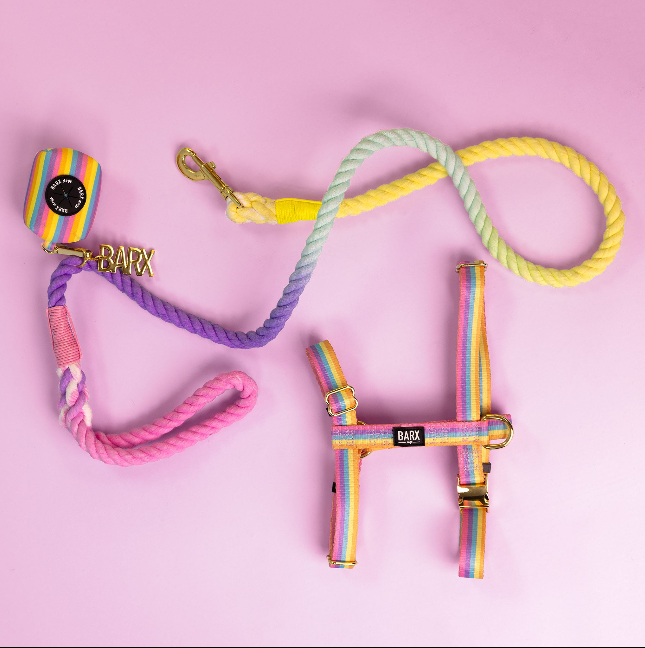 Rainbow - Walk Kit