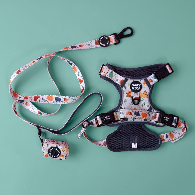 Explore Walk-Kit
