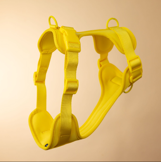The Original Walk-Kit