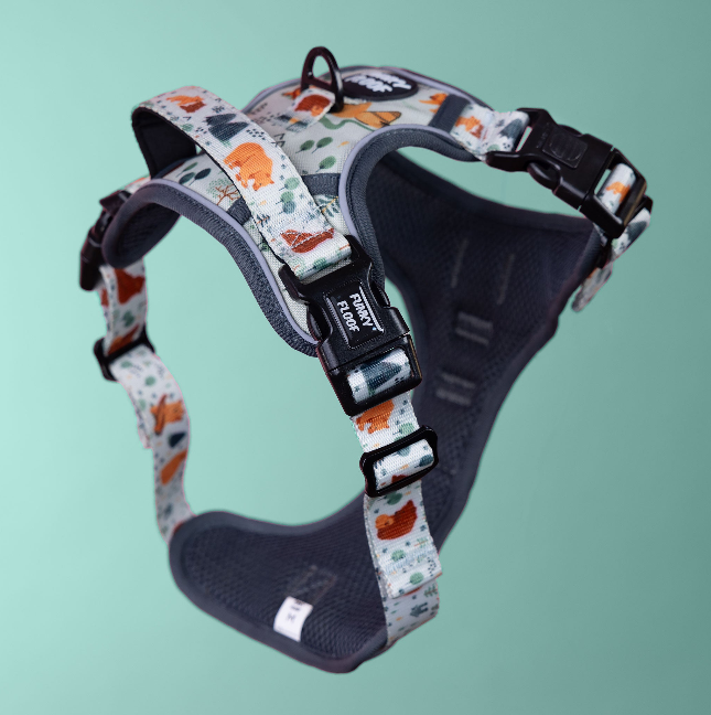 Explore Walk-Kit