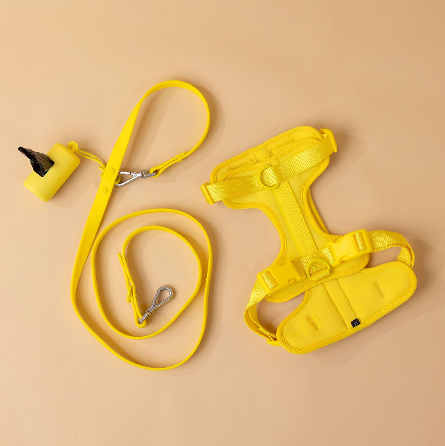 The Original Walk-Kit