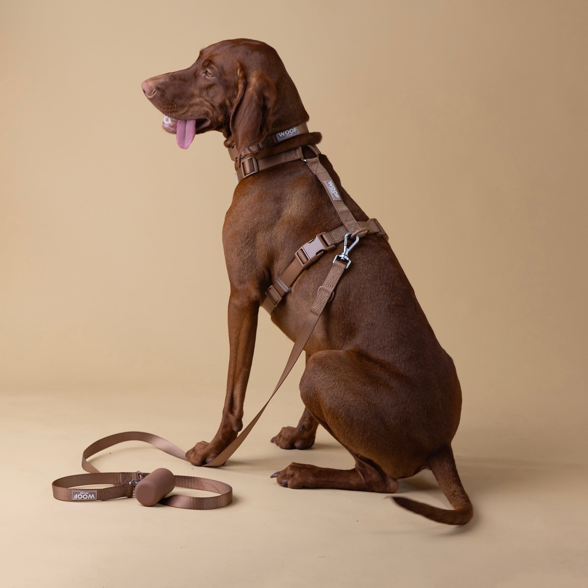 The Woof Walk Kit | 4 pieces in one