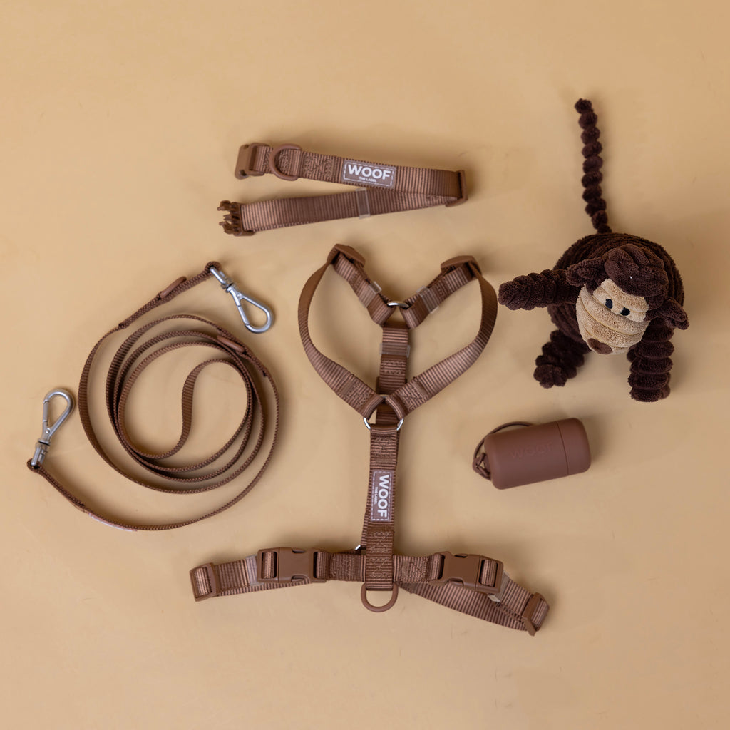 The Woof Walk Kit | 4 pieces in one