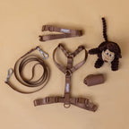 The Woof Walk Kit | 4 pieces in one