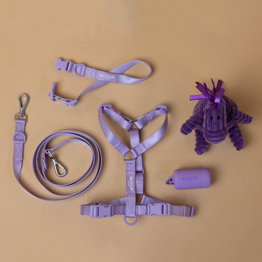 The Woof Kit PURPLE