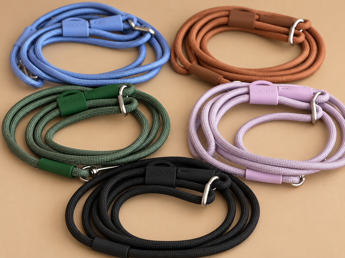 Hands Free Leash - 4 in 1
