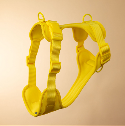 The Original Walk-Kit