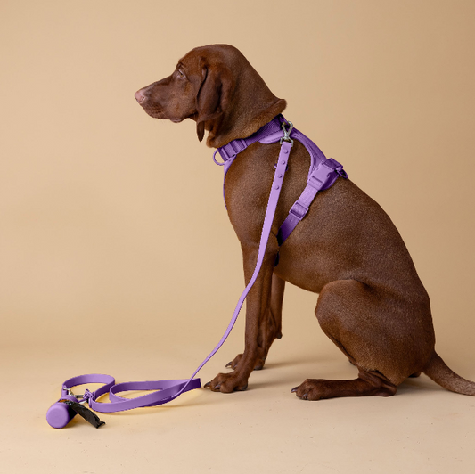 The Original Walk-Kit PURPLE