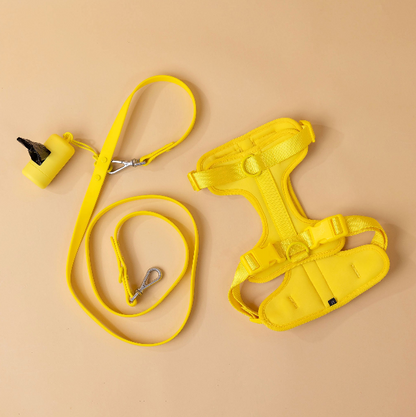The Original Walk-Kit