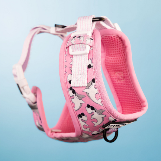 Shark Walk-Kit PINK