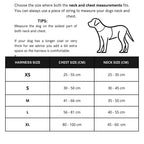 The Woof Walk Kit | 4 pieces in one