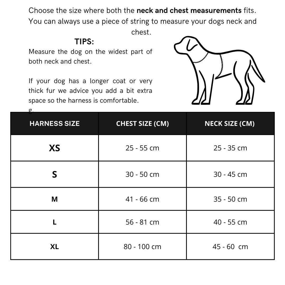 The Woof Walk Kit | 4 pieces in one